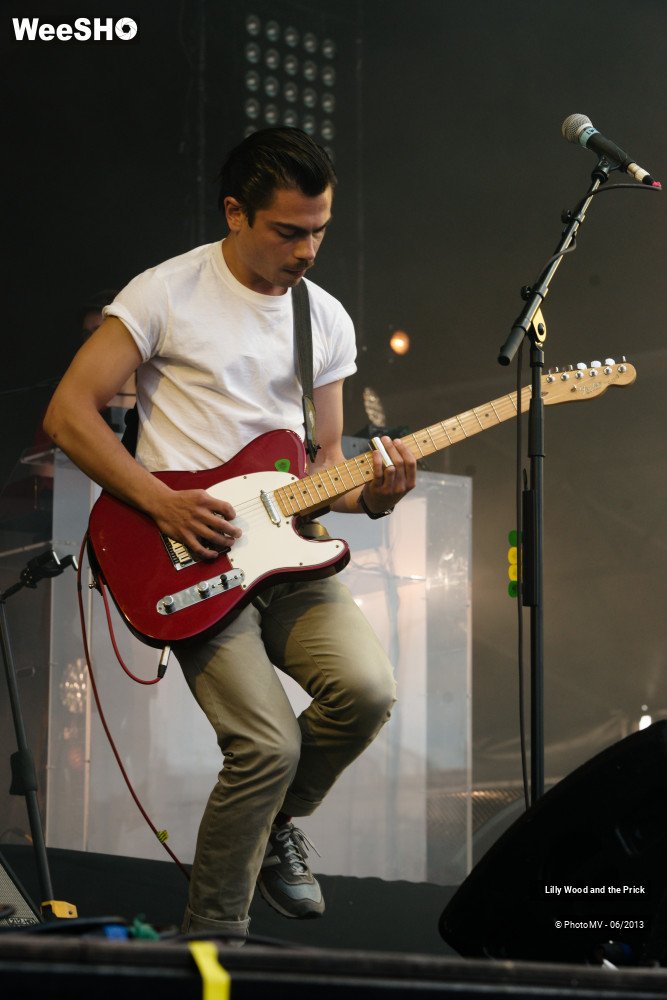 38/48 photos du spectacle Lilly wood and the prick