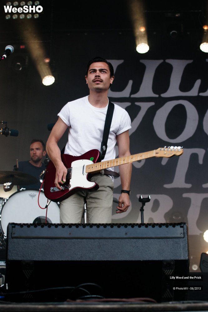 40/48 photos du spectacle Lilly wood and the prick