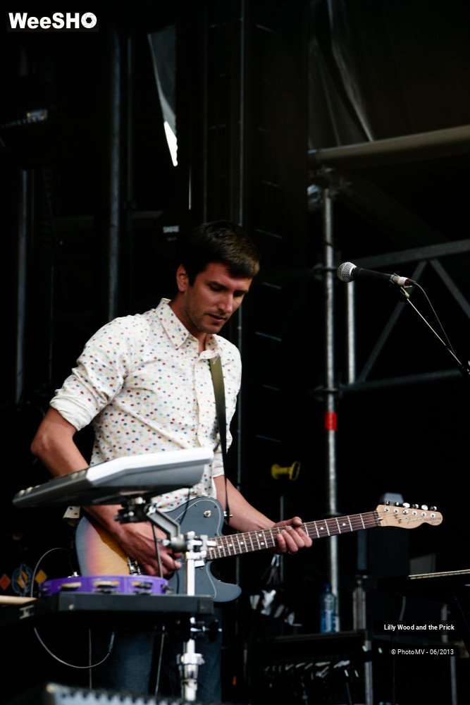 43/48 photos du spectacle Lilly wood and the prick