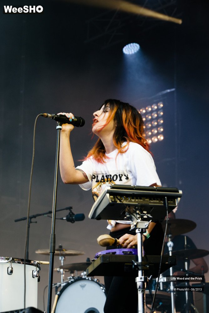 45/48 photos du spectacle Lilly wood and the prick