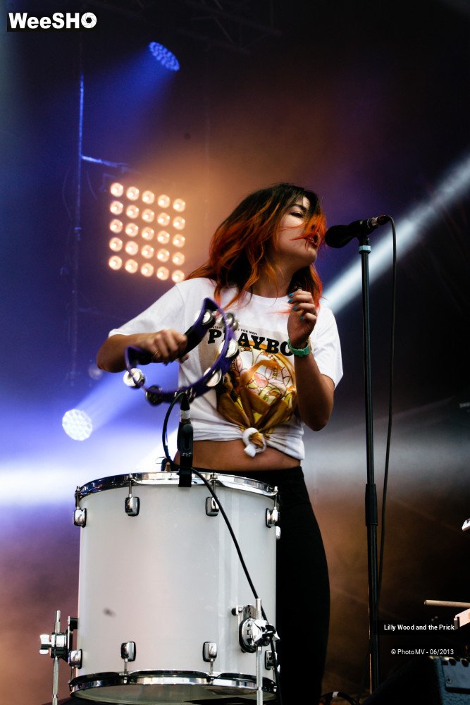 46/48 photos du spectacle Lilly wood and the prick