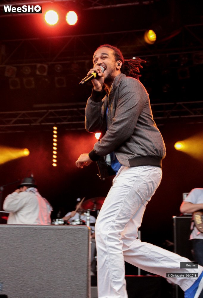 32/41 photos du spectacle Dub Inc