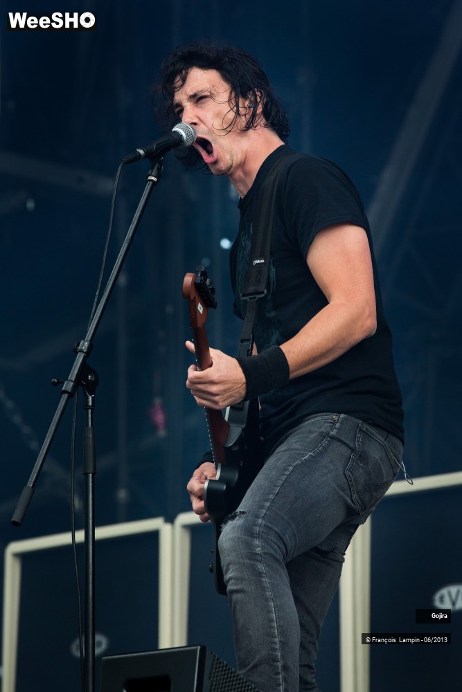 6/32 photos du spectacle Gojira