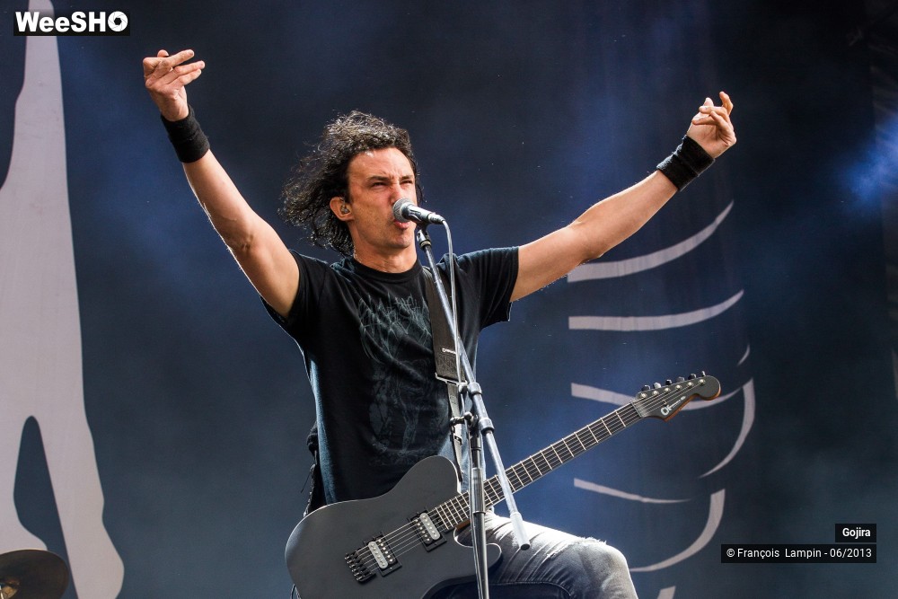 12/32 photos du spectacle Gojira