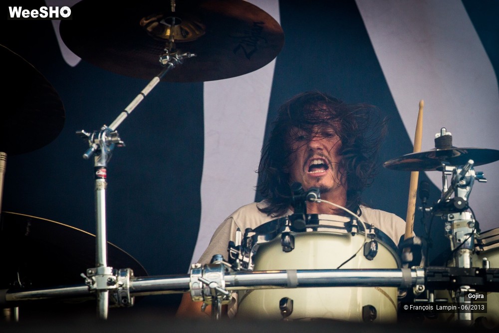 17/32 photos du spectacle Gojira