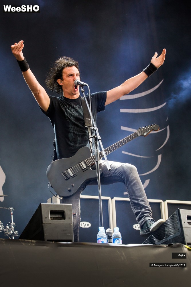 22/32 photos du spectacle Gojira