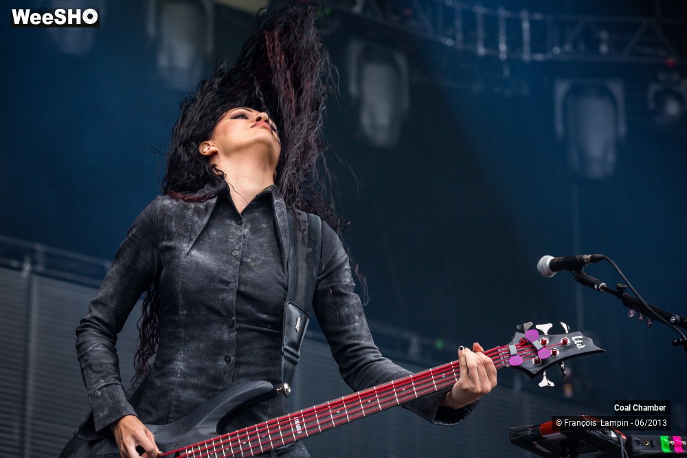 12/43 photos du spectacle Coal Chamber
