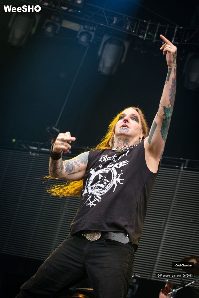 16/43 photos du spectacle Coal Chamber