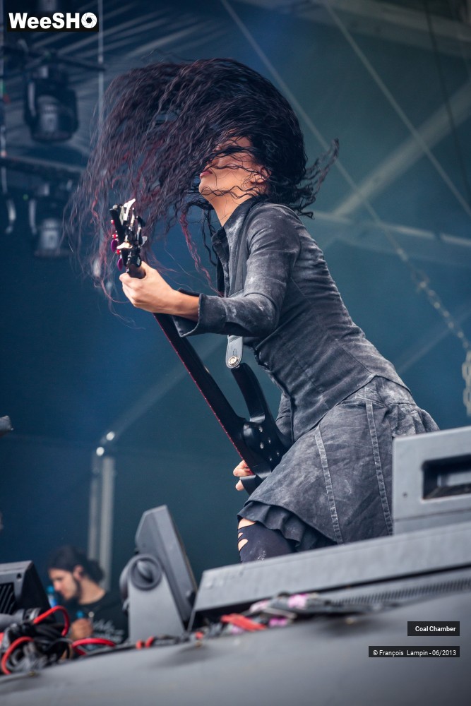 20/43 photos du spectacle Coal Chamber