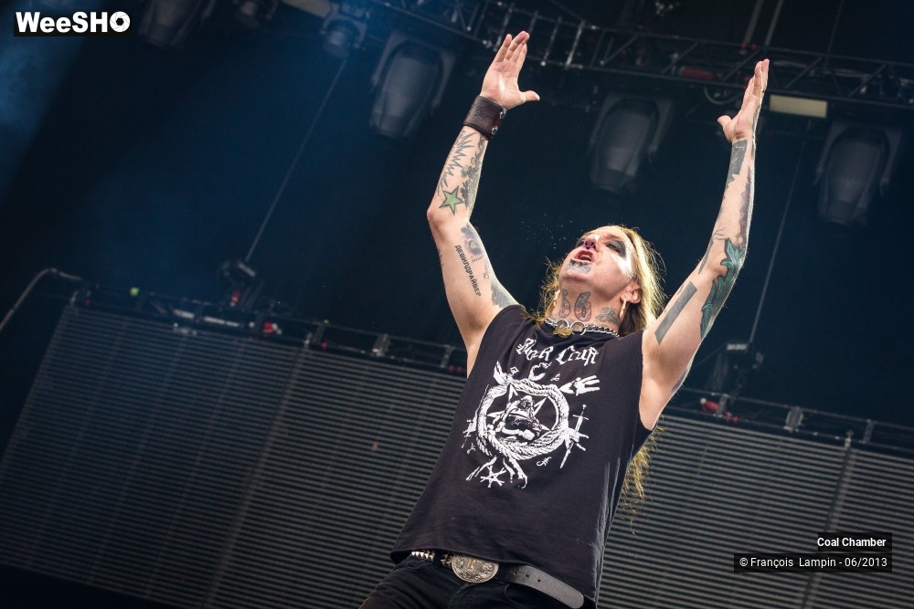 29/43 photos du spectacle Coal Chamber