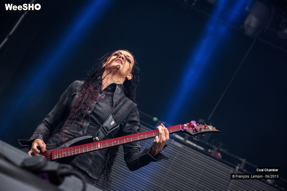 39/43 photos du spectacle Coal Chamber