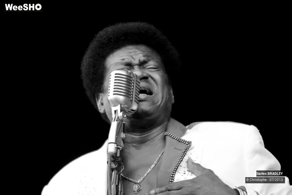 1/34 photos du spectacle Charles Bradley