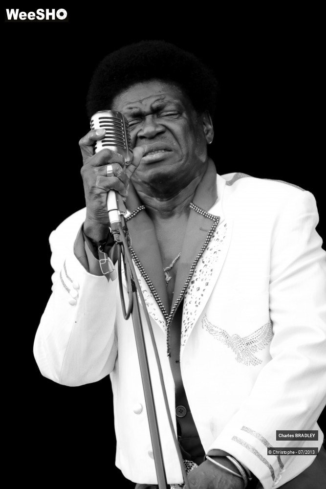 19/34 photos du spectacle Charles Bradley