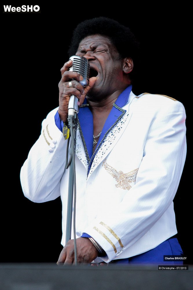 22/34 photos du spectacle Charles Bradley