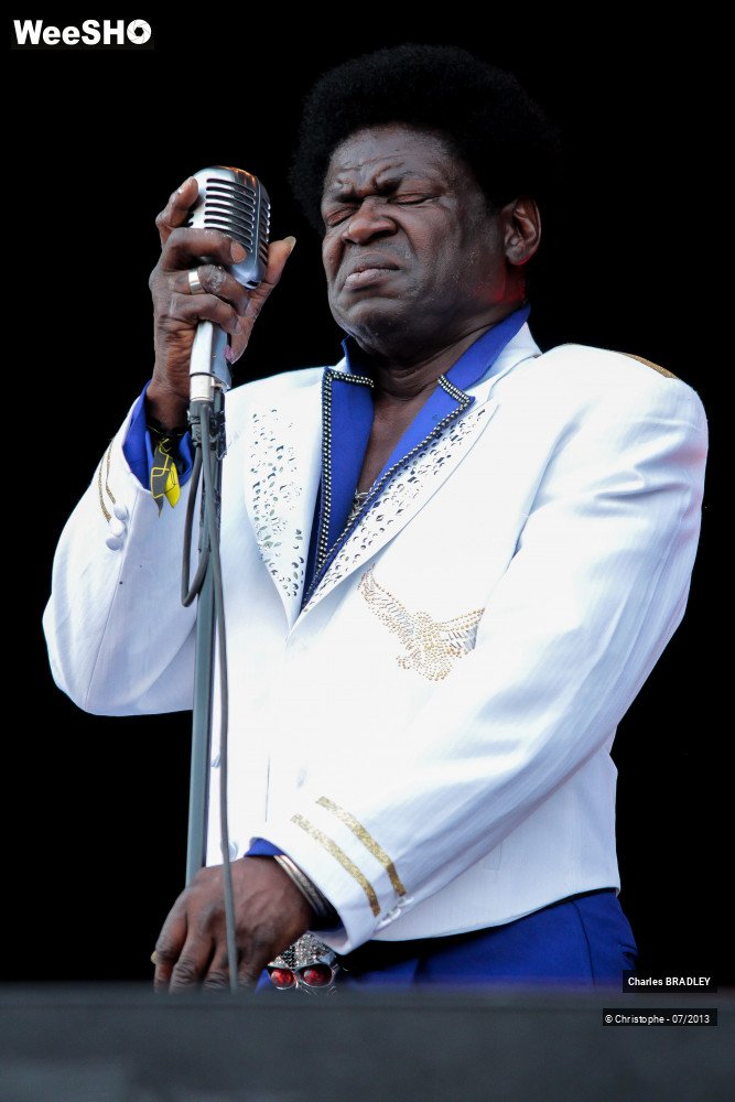 26/34 photos du spectacle Charles Bradley