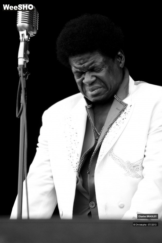 33/34 photos du spectacle Charles Bradley