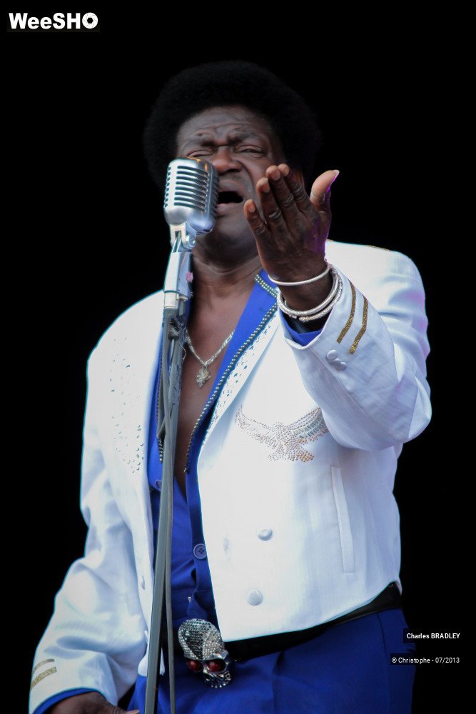 34/34 photos du spectacle Charles Bradley