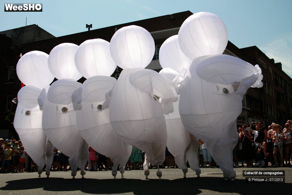 21/47 photos du spectacle Le grand voyage 1
