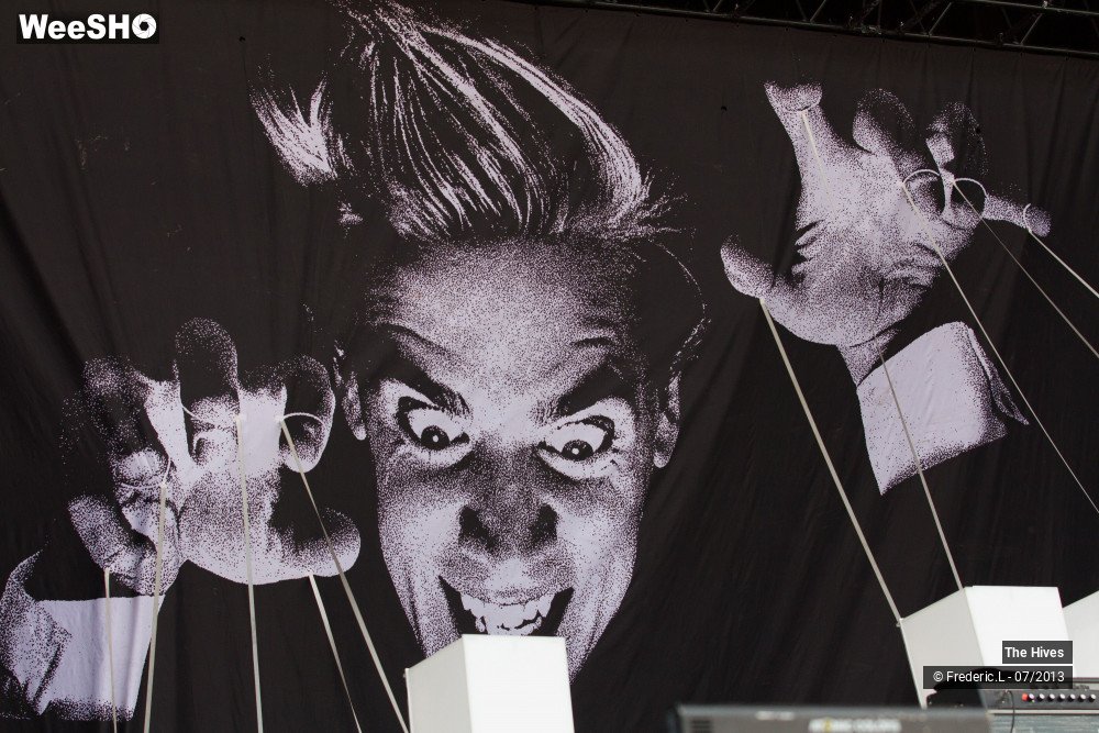 5/23 photos du spectacle The Hives
