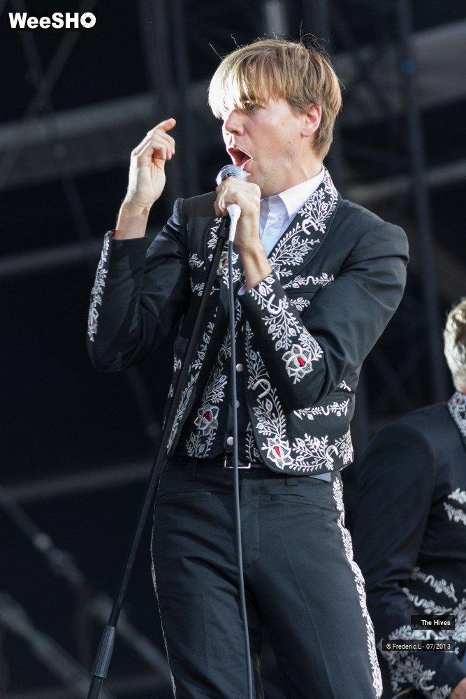 17/23 photos du spectacle The Hives