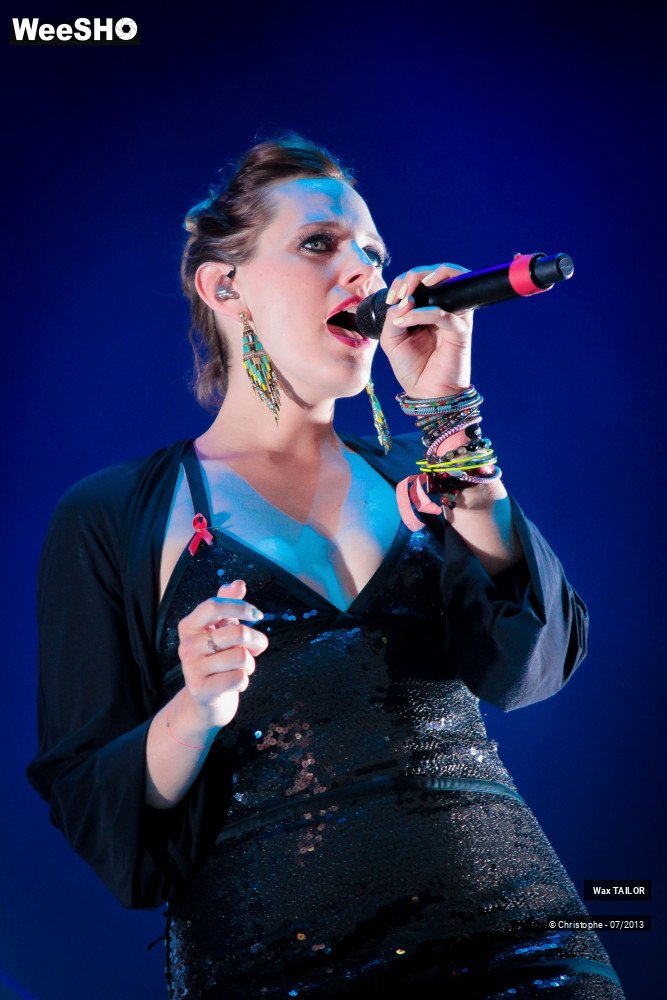 23/23 photos du spectacle Wax Tailor