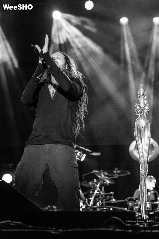 29/35 photos du spectacle Korn