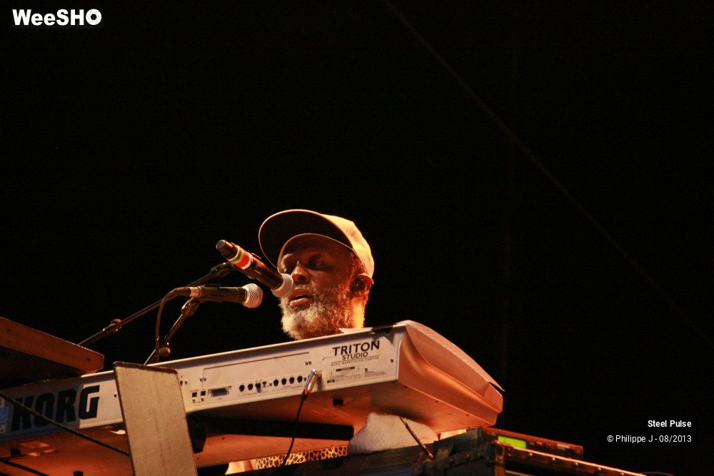 11/18 photos du spectacle Steel Pulse