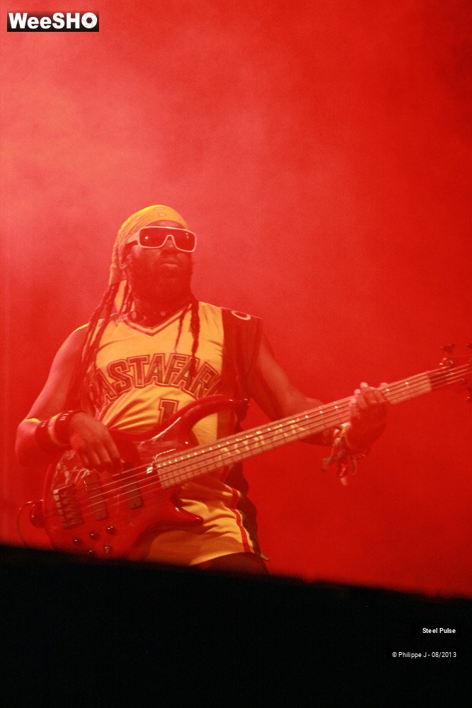 14/18 photos du spectacle Steel Pulse