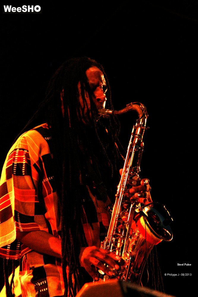 15/18 photos du spectacle Steel Pulse