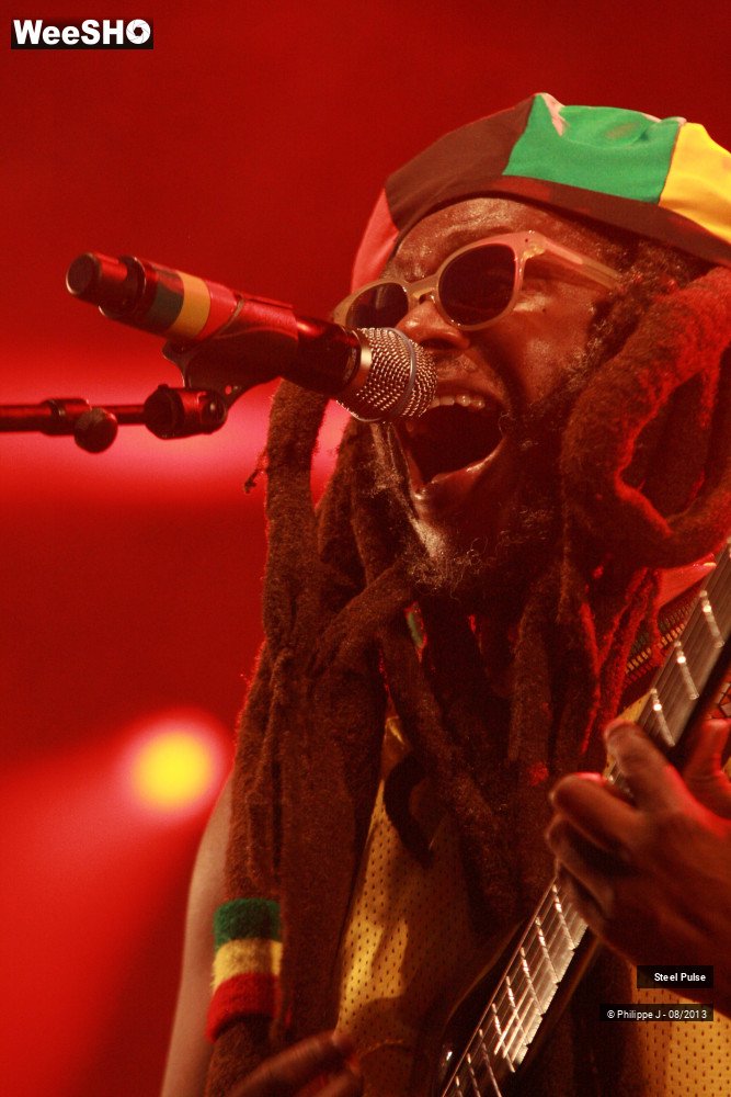 16/18 photos du spectacle Steel Pulse