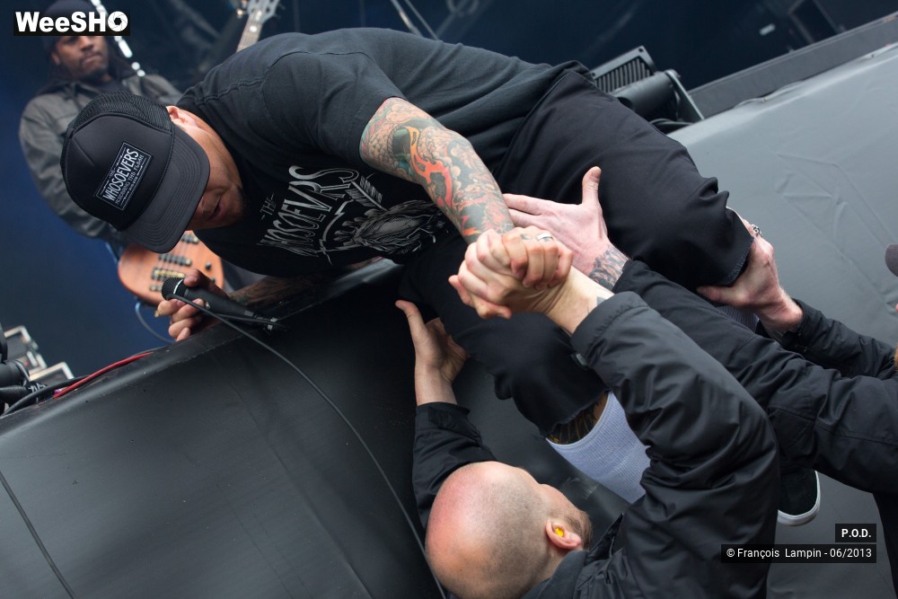 1/20 photos du spectacle P.O.D.