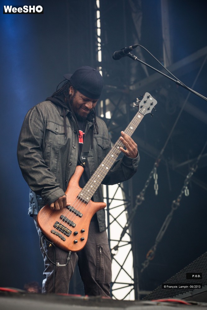 2/20 photos du spectacle P.O.D.