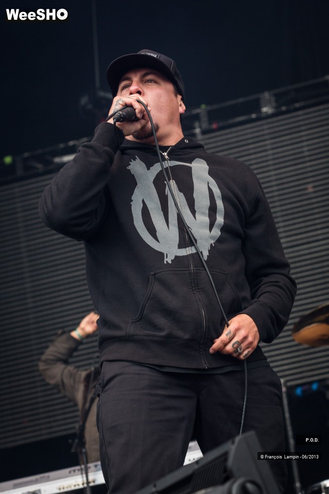 8/20 photos du spectacle P.O.D.
