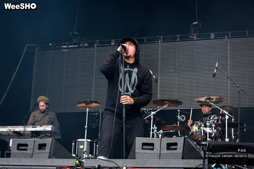 15/20 photos du spectacle P.O.D.