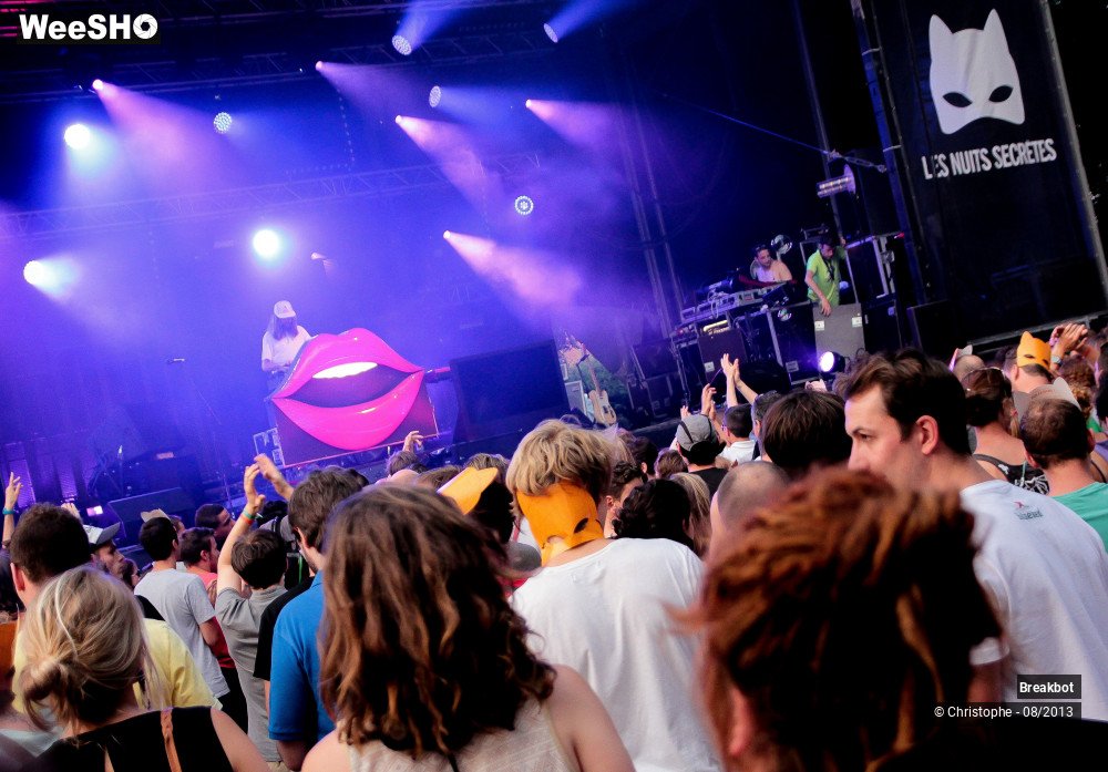 14/24 photos du spectacle Breakbot