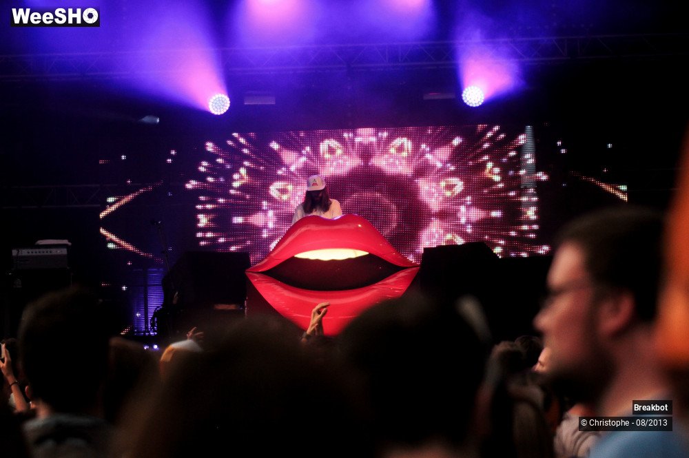 17/24 photos du spectacle Breakbot