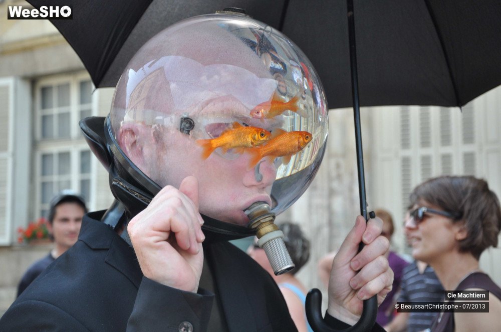 34/39 photos du spectacle Les Aquamens