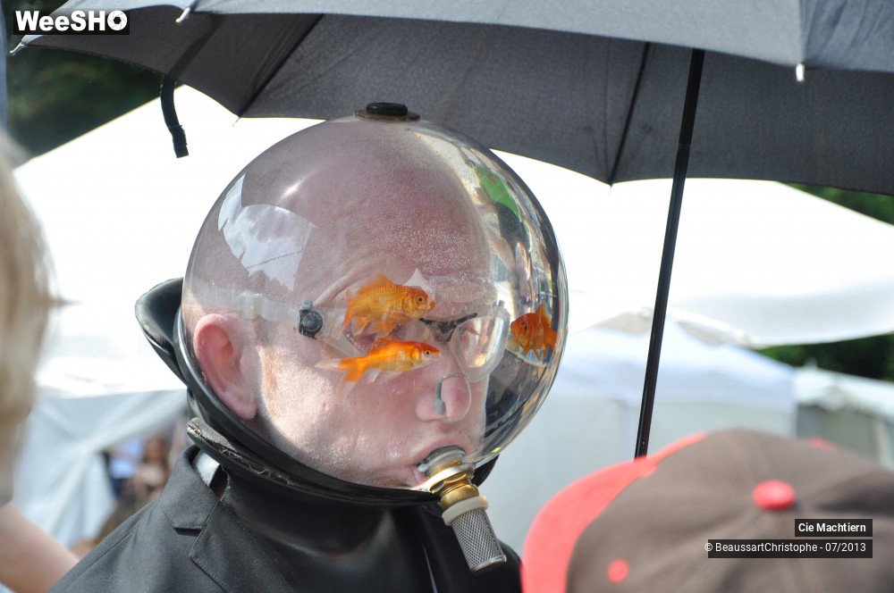 37/39 photos du spectacle Les Aquamens