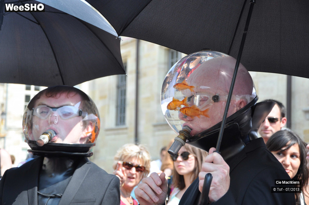 4/39 photos du spectacle Les Aquamens