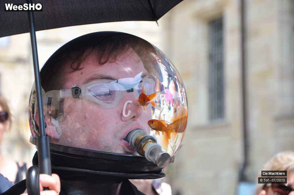 5/39 photos du spectacle Les Aquamens