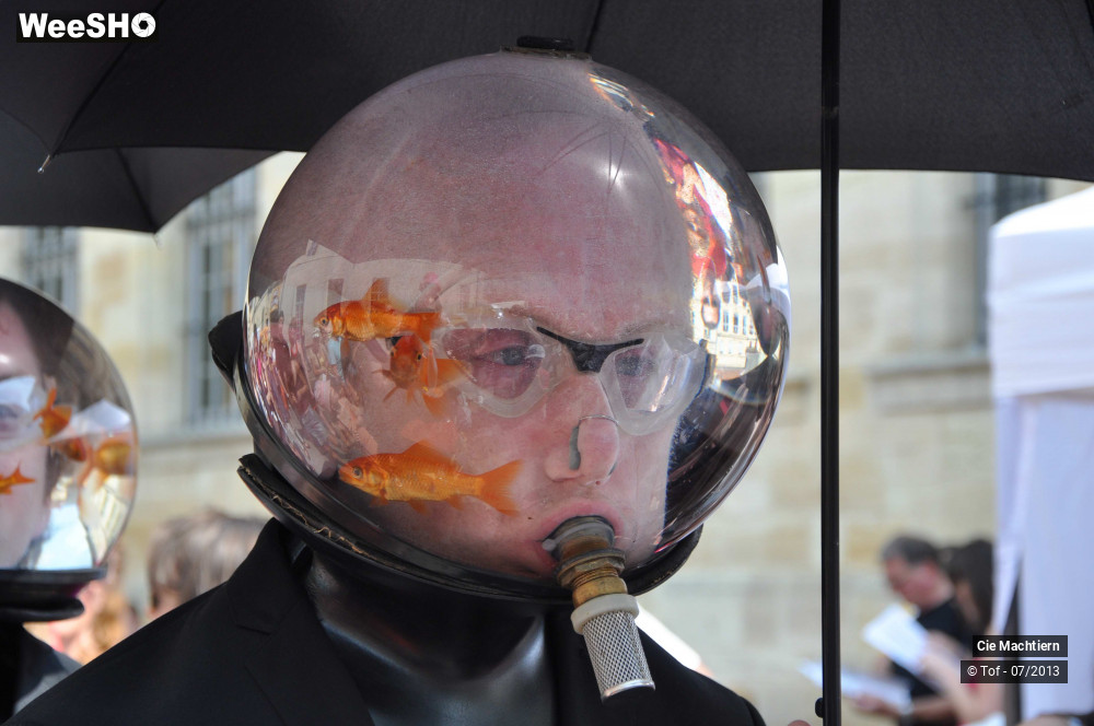 6/39 photos du spectacle Les Aquamens