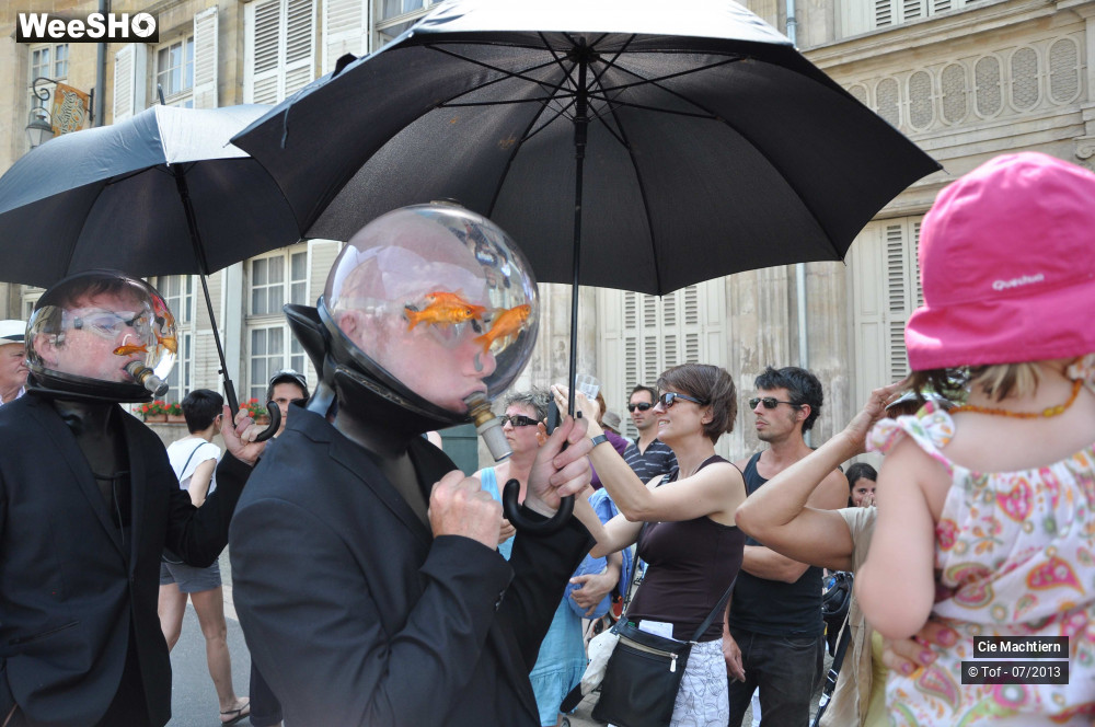 8/39 photos du spectacle Les Aquamens