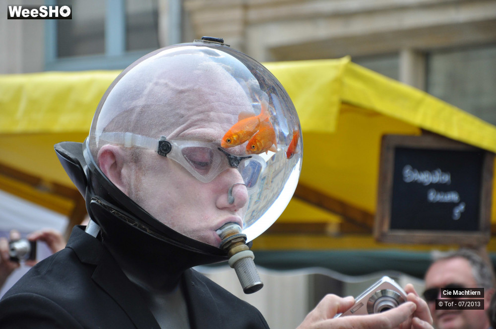 10/39 photos du spectacle Les Aquamens