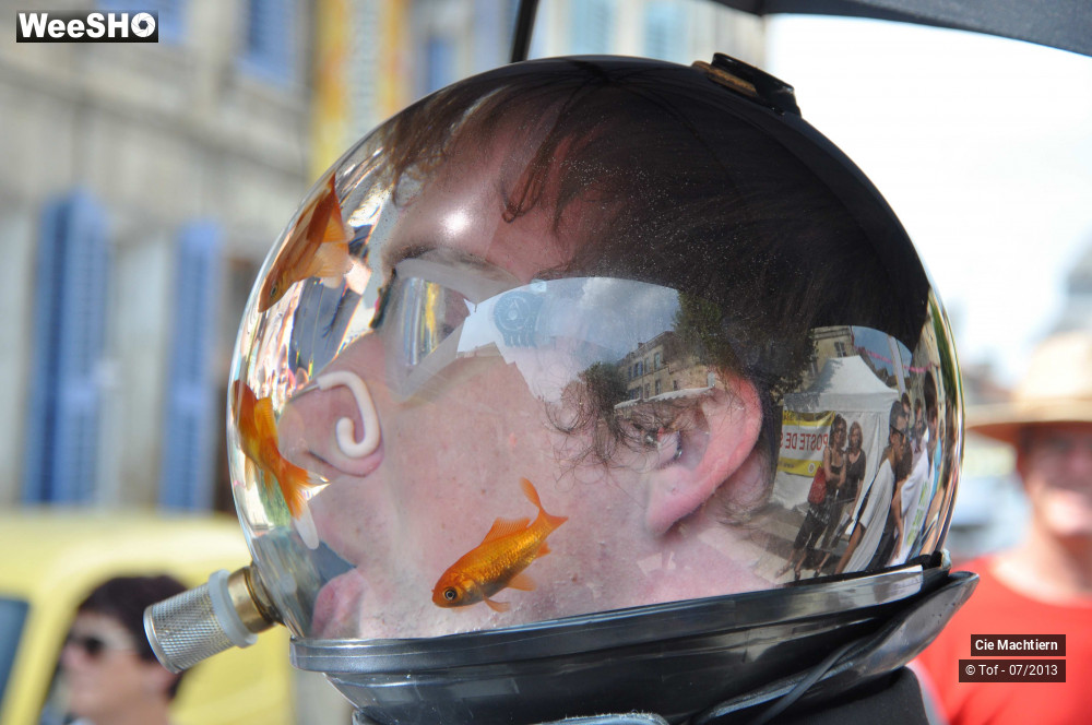 13/39 photos du spectacle Les Aquamens