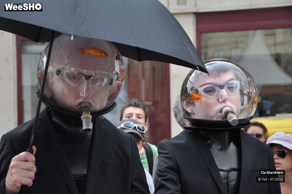 14/39 photos du spectacle Les Aquamens