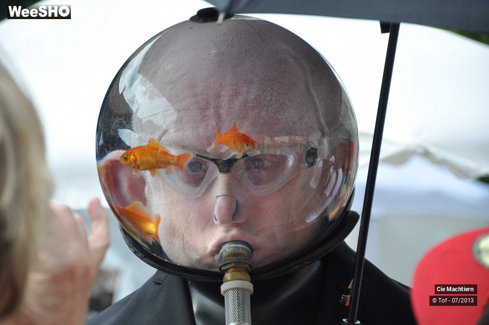 15/39 photos du spectacle Les Aquamens