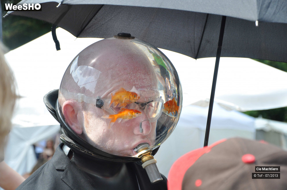 16/39 photos du spectacle Les Aquamens