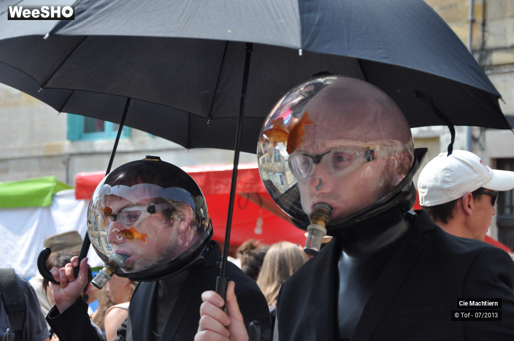 17/39 photos du spectacle Les Aquamens
