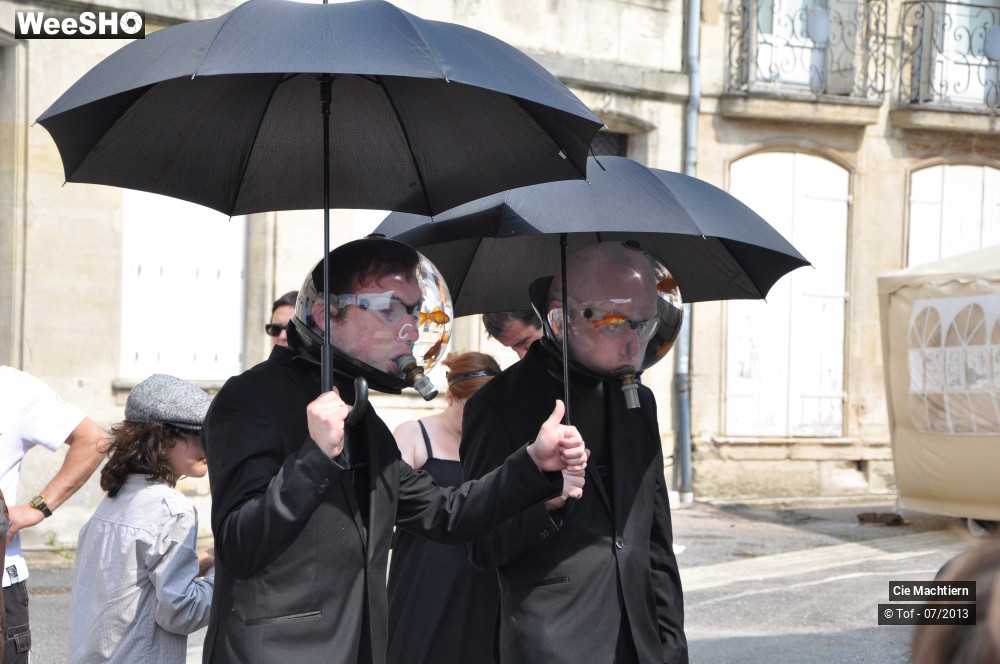 18/39 photos du spectacle Les Aquamens