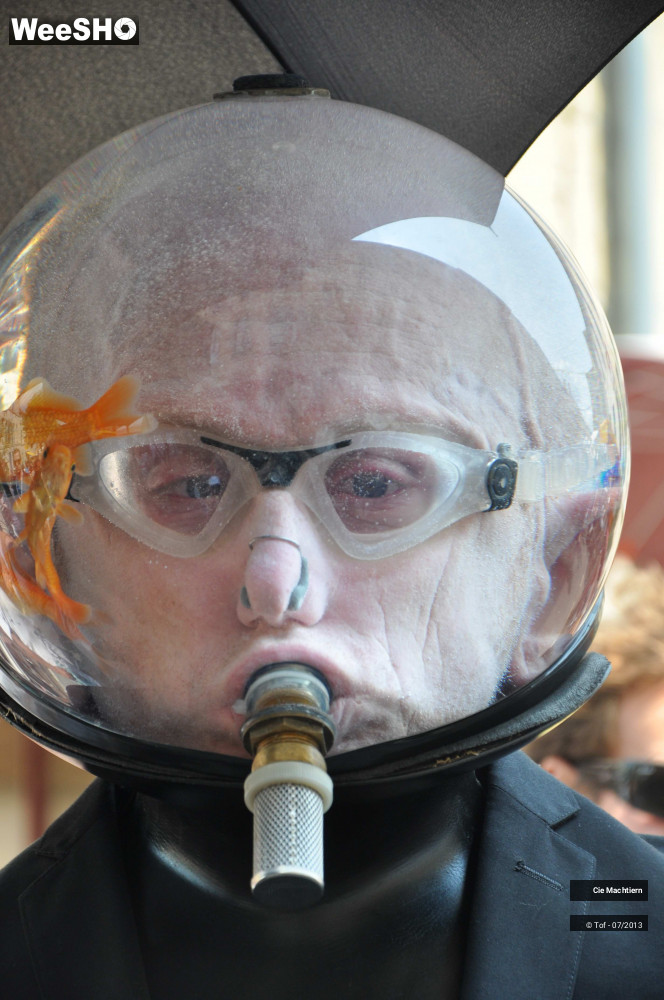 21/39 photos du spectacle Les Aquamens